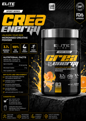 MICRONISED CREATINE